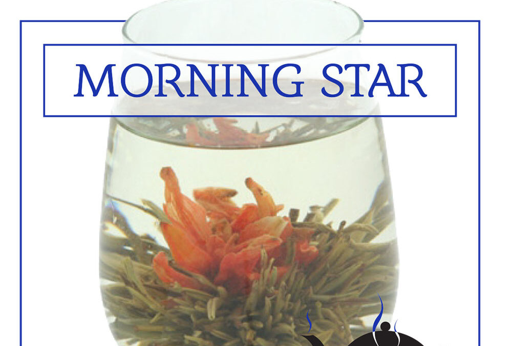 Tea Cellar – Point of Purchase Sign