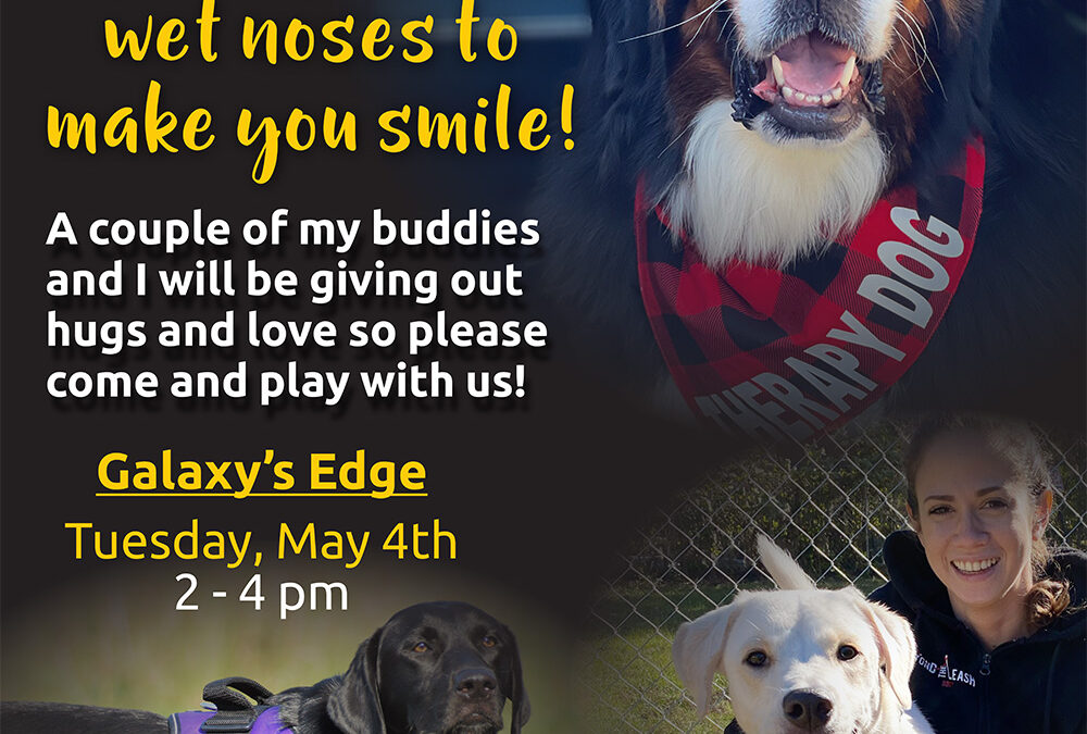 Beyond the Leash – Poster