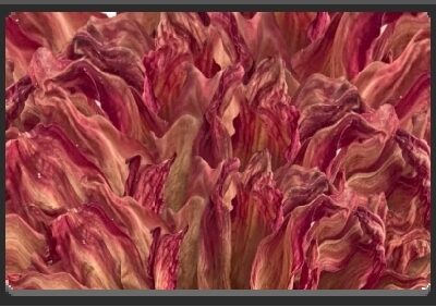 EMPlants – Fire Dahlin’
