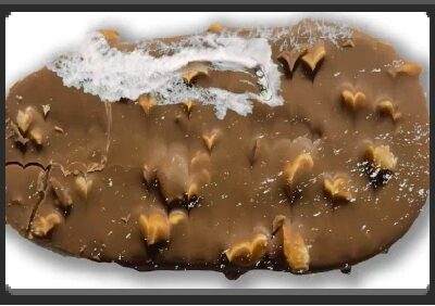 EMPlants – Ice Cream Sundays