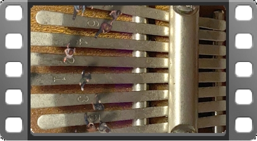 EMPlants – Mbira Steps