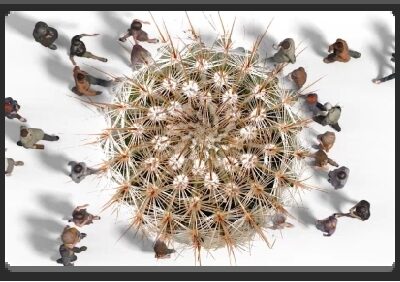 EMPlants – Paradio Protection