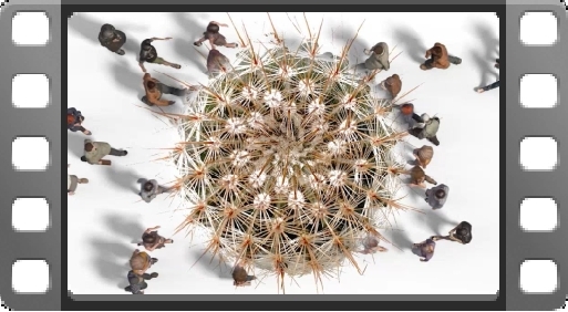 EMPlants – Paradio Protection