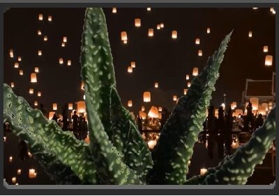 EMPlants – Royal Highness Lights