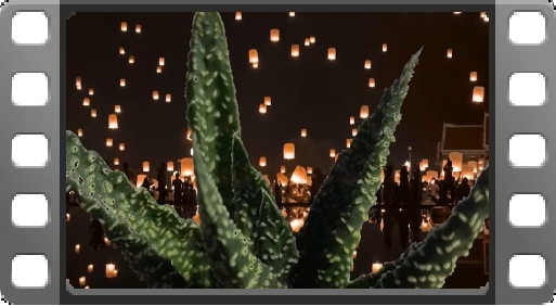 EMPlants – Royal Highness Lights